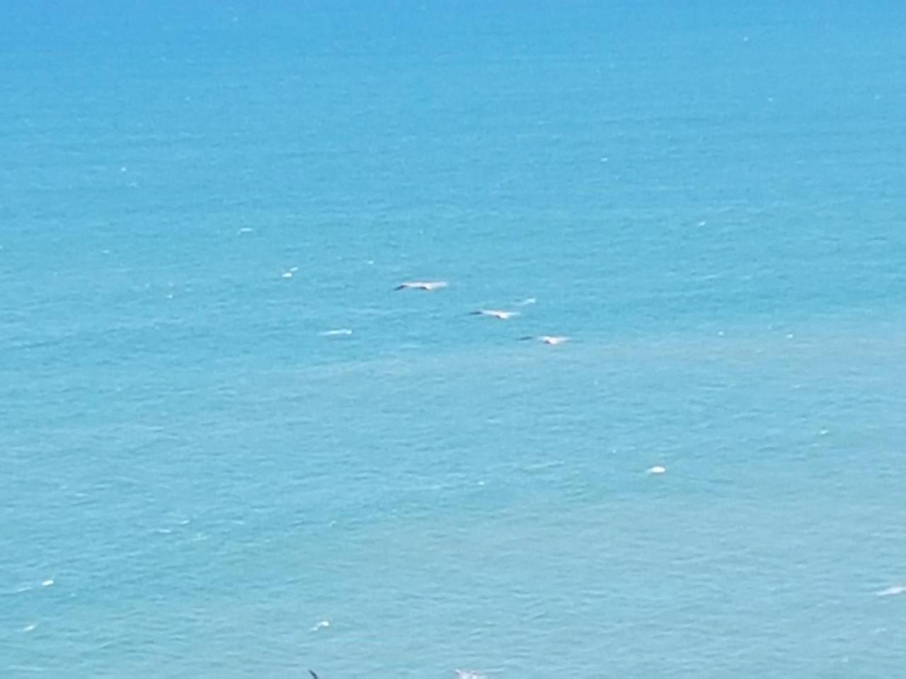 Apartment Departamento Frente Al Mar Grand Diamond *